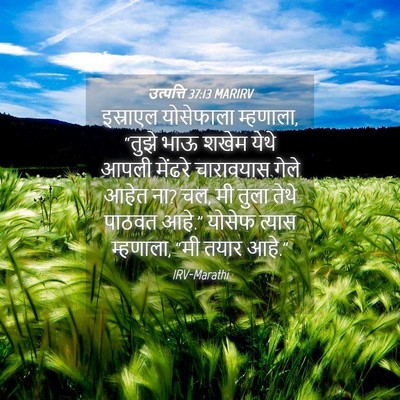 Picture 04 - उत्पत्ति 37:13 MARIRV - इस्राएल योसेफाला - Bible Verse Picture