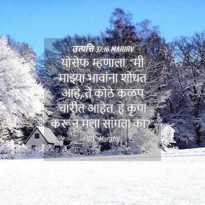 Picture 04 - उत्पत्ति 37:16 MARIRV - योसेफ म्हणाला, “मी - Bible Verse Picture