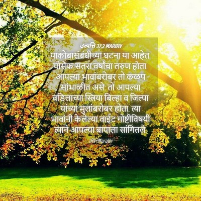 Picture 04 - उत्पत्ति 37:2 MARIRV - याकोबासंबंधीच्या - Bible Verse Picture