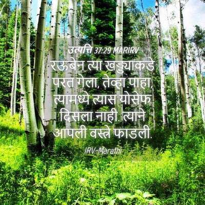 Picture 04 - उत्पत्ति 37:29 MARIRV - रऊबेन त्या - Bible Verse Picture