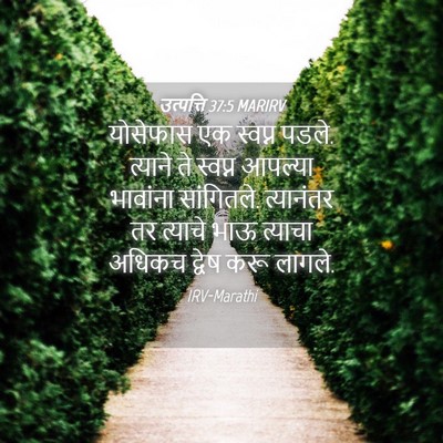 Picture 04 - उत्पत्ति 37:5 MARIRV - योसेफास एक स्वप्न - Bible Verse Picture