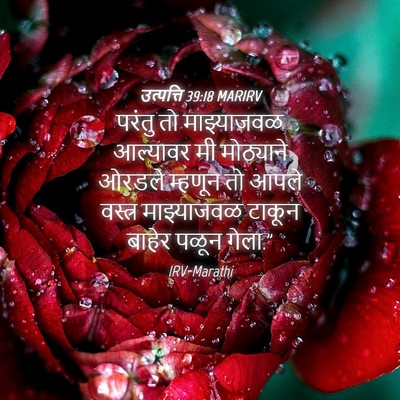 Picture 04 - उत्पत्ति 39:18 MARIRV - परंतु तो - Bible Verse Picture