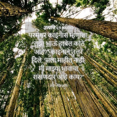 Picture 04 - उत्पत्ति 4:9 MARIRV - परमेश्वर काइनास - Bible Verse Picture