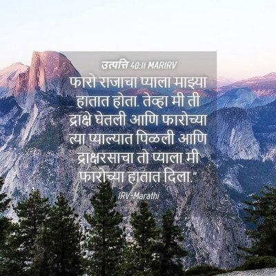 Picture 04 - उत्पत्ति 40:11 MARIRV - फारो राजाचा - Bible Verse Picture