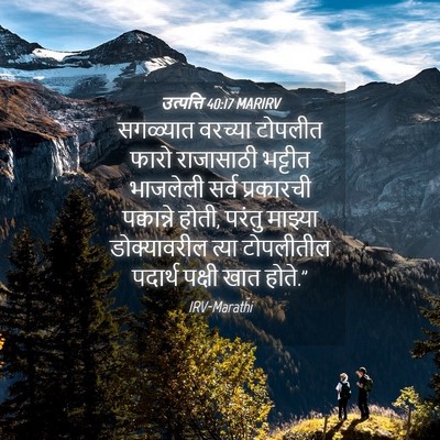 Picture 04 - उत्पत्ति 40:17 MARIRV - सगळ्यात वरच्या - Bible Verse Picture