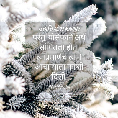 Picture 04 - उत्पत्ति 40:22 MARIRV - परंतु, योसेफाने - Bible Verse Picture