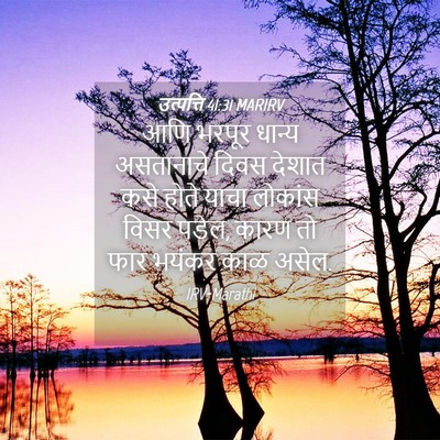 Picture 04 - उत्पत्ति 41:31 MARIRV - आणि भरपूर धान्य - Bible Verse Picture