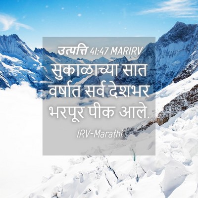 Picture 04 - उत्पत्ति 41:47 MARIRV - सुकाळाच्या सात - Bible Verse Picture