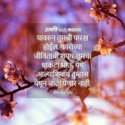 Picture 04 - उत्पत्ति 42:15 MARIRV - यावरुन तुमची पारख - Bible Verse Picture