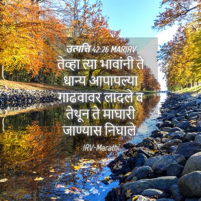 Picture 04 - उत्पत्ति 42:26 MARIRV - तेव्हा त्या - Bible Verse Picture