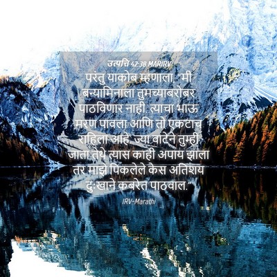Picture 04 - उत्पत्ति 42:38 MARIRV - परंतु याकोब - Bible Verse Picture