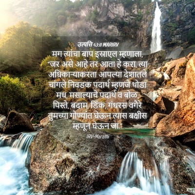 Picture 04 - उत्पत्ति 43:11 MARIRV - मग त्यांचा बाप - Bible Verse Picture