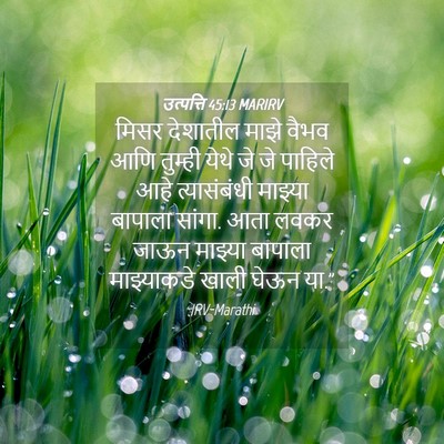 Picture 04 - उत्पत्ति 45:13 MARIRV - मिसर देशातील माझे - Bible Verse Picture