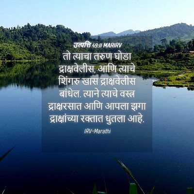 Picture 04 - उत्पत्ति 49:11 MARIRV - तो त्याचा तरुण - Bible Verse Picture