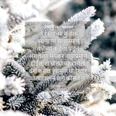 Picture 04 - उत्पत्ति 49:17 MARIRV - तो रस्त्याच्या - Bible Verse Picture