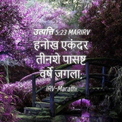 Picture 04 - उत्पत्ति 5:23 MARIRV - हनोख एकंदर तीनशे - Bible Verse Picture