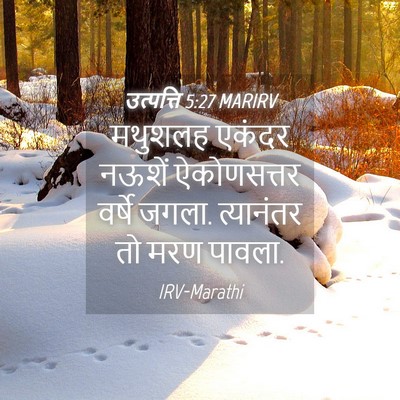 Picture 04 - उत्पत्ति 5:27 MARIRV - मथुशलह एकंदर - Bible Verse Picture