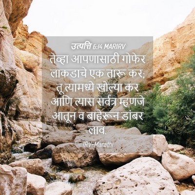 Picture 04 - उत्पत्ति 6:14 MARIRV - तेव्हा आपणासाठी - Bible Verse Picture