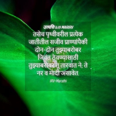 Picture 04 - उत्पत्ति 6:19 MARIRV - तसेच पृथ्वीवरील - Bible Verse Picture