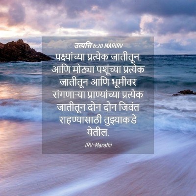 Picture 04 - उत्पत्ति 6:20 MARIRV - पक्ष्यांच्या - Bible Verse Picture