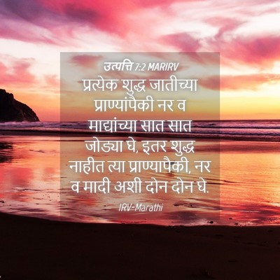 Picture 04 - उत्पत्ति 7:2 MARIRV - प्रत्येक शुद्ध - Bible Verse Picture