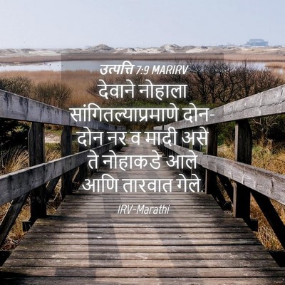 Picture 04 - उत्पत्ति 7:9 MARIRV - देवाने नोहाला - Bible Verse Picture