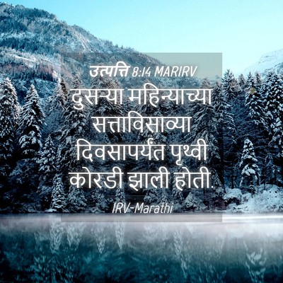 Picture 04 - उत्पत्ति 8:14 MARIRV - दुसऱ्या - Bible Verse Picture