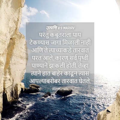 Picture 04 - उत्पत्ति 8:9 MARIRV - परंतु कबुतराला - Bible Verse Picture