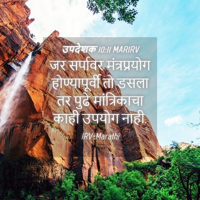 Picture 04 - उपदेशक 10:11 MARIRV - जर सर्पावर - Bible Verse Picture