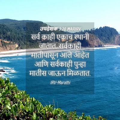 Picture 04 - उपदेशक 3:20 MARIRV - सर्व काही एकाच - Bible Verse Picture