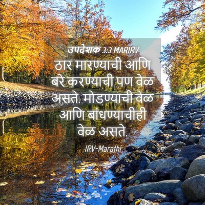 Picture 04 - उपदेशक 3:3 MARIRV - ठार मारण्याची आणि - Bible Verse Picture