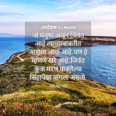 Picture 04 - उपदेशक 9:4 MARIRV - जो मनुष्य अजून - Bible Verse Picture