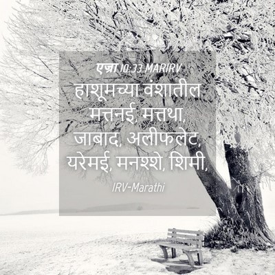 Picture 04 - एज्रा 10:33 MARIRV - हाशूमच्या वंशातील - Bible Verse Picture
