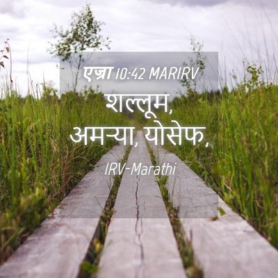 Picture 04 - एज्रा 10:42 MARIRV - शल्लूम, अमऱ्या, - Bible Verse Picture