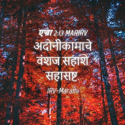 Picture 04 - एज्रा 2:13 MARIRV - अदोनीकामाचे वंशज - Bible Verse Picture
