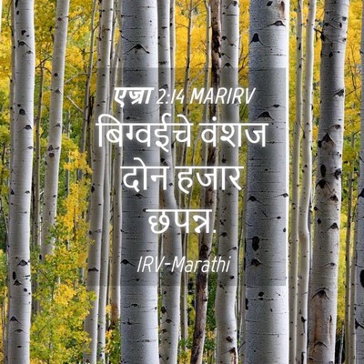 Picture 04 - एज्रा 2:14 MARIRV - बिग्वईचे वंशज दोन - Bible Verse Picture