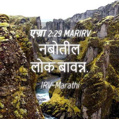 Picture 04 - एज्रा 2:29 MARIRV - नबोतील लोक - Bible Verse Picture