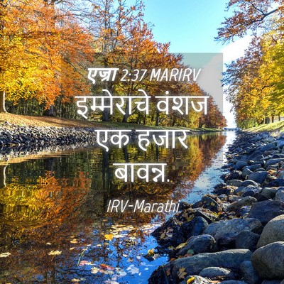 Picture 04 - एज्रा 2:37 MARIRV - इम्मेराचे वंशज एक - Bible Verse Picture