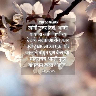 Picture 04 - एज्रा 5:11 MARIRV - त्यांनी उत्तर - Bible Verse Picture