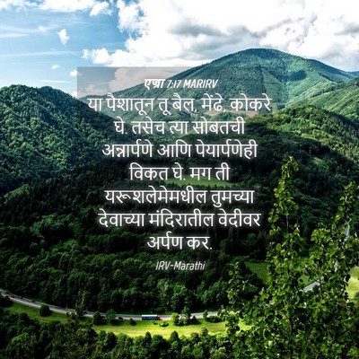 Picture 04 - एज्रा 7:17 MARIRV - या पैशातून तू बैल, - Bible Verse Picture