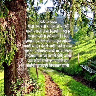 Picture 04 - एस्तेर 2:15 MARIRV - आता एस्तेरची - Bible Verse Picture