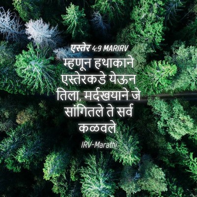 Picture 04 - एस्तेर 4:9 MARIRV - म्हणून हथाकाने - Bible Verse Picture