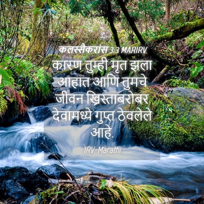 Picture 04 - कलस्सैकरांस 3:3 MARIRV - कारण तुम्ही मृत - Bible Verse Picture