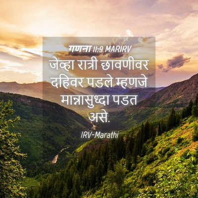 Picture 04 - गणना 11:9 MARIRV - जेव्हा रात्री - Bible Verse Picture