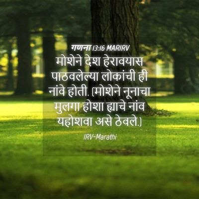 Picture 04 - गणना 13:16 MARIRV - मोशेने देश - Bible Verse Picture