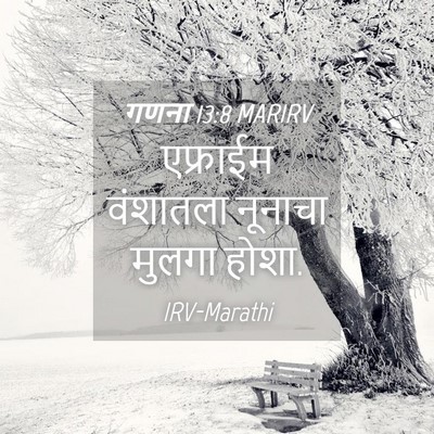 Picture 04 - गणना 13:8 MARIRV - एफ्राईम वंशातला - Bible Verse Picture
