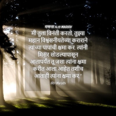 Picture 04 - गणना 14:19 MARIRV - मी तुला विनंती - Bible Verse Picture