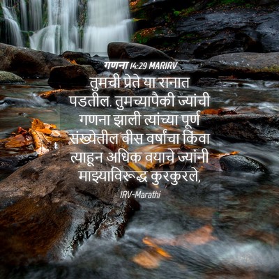 Picture 04 - गणना 14:29 MARIRV - तुमची प्रेते या - Bible Verse Picture