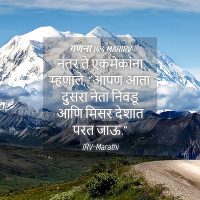 Picture 04 - गणना 14:4 MARIRV - नंतर ते एकमेकांना - Bible Verse Picture