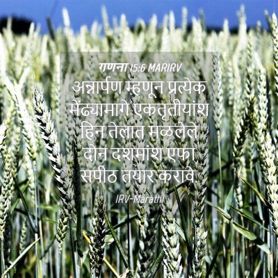 Picture 04 - गणना 15:6 MARIRV - अन्नार्पण म्हणून - Bible Verse Picture
